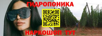 стафф Коммунар