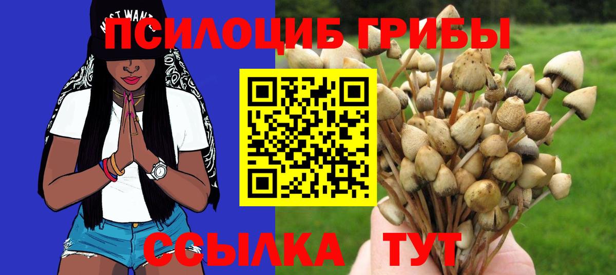Галлюциногенные грибы мухоморы  где купить наркоту  Вход с VPN  Котовск  Галлюциногенные грибы Magic Shrooms 